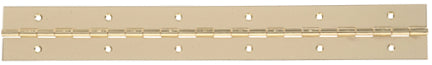 48X1-1 16  BRASS PLATED CONT HINGE Online Hot Sale