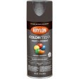 COLORmaxx Spray Paint + Primer, Gloss Smoke Gray, 12-oz. Cheap