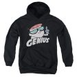 DEXTER S LABORATORY : GENIUS YOUTH PULL OVER HOODIE BLACK XL Online now