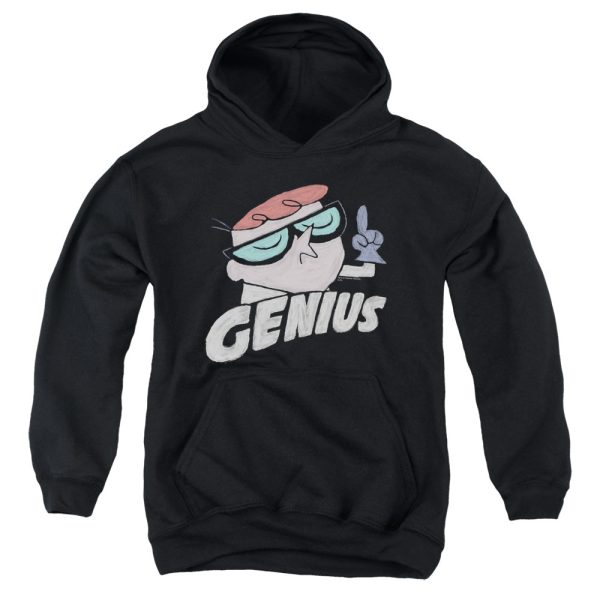 DEXTER S LABORATORY : GENIUS YOUTH PULL OVER HOODIE BLACK XL Online now