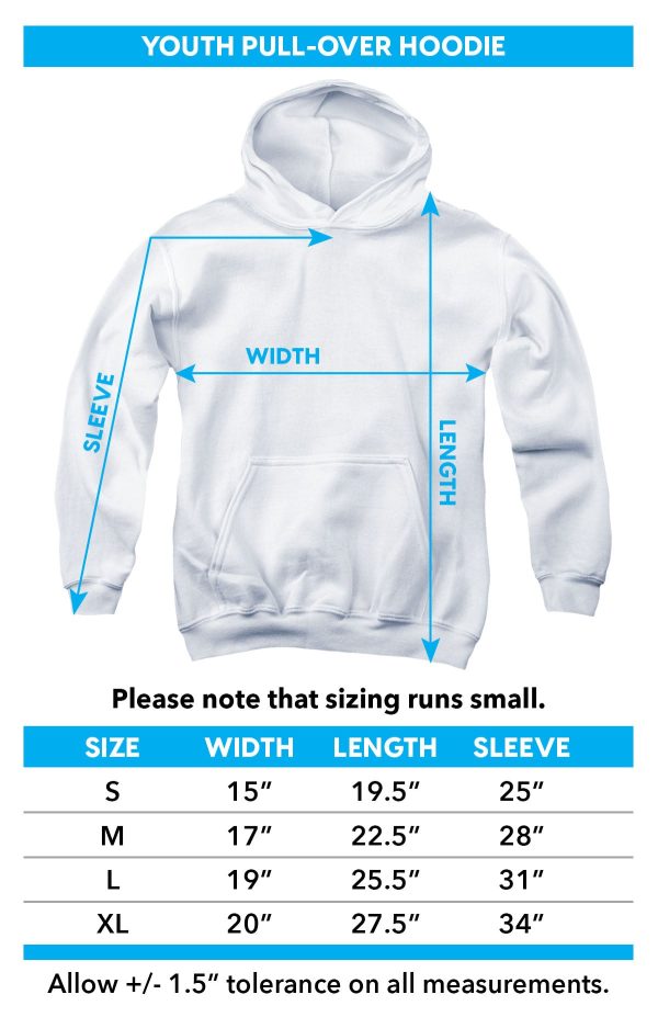 FRIENDS : TITLES YOUTH PULL OVER HOODIE Athletic Heather SM Online Hot Sale