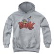 DEXTER S LABORATORY : BONK YOUTH PULL OVER HOODIE Athletic Heather SM For Discount