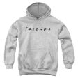 FRIENDS : TITLES YOUTH PULL OVER HOODIE Athletic Heather XL Online Sale