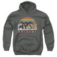 FRIENDS : SODA FOUNTAIN YOUTH PULL OVER HOODIE Charcoal SM Supply