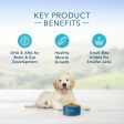 Blue Buffalo Life Protection Natural Chicken & Brown Rice Recipe Puppy Dry Dog Food Online Hot Sale