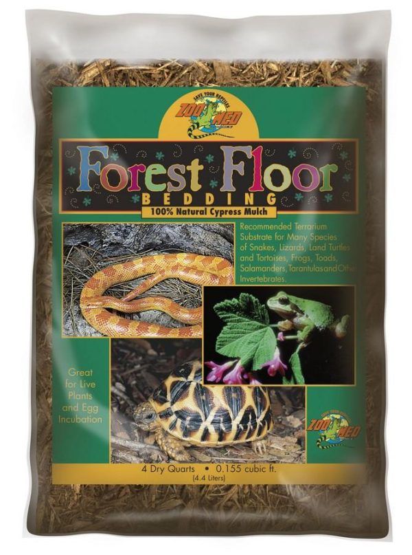 Forest Floor™ Bedding For Discount