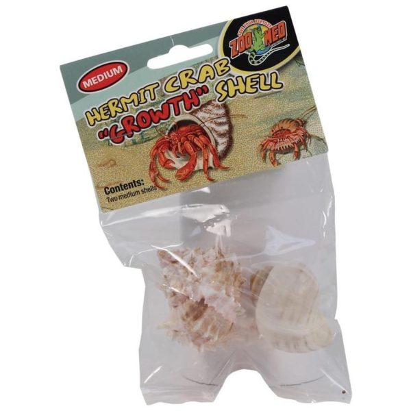 HERMIT CRAB GROWTH SHELL Online