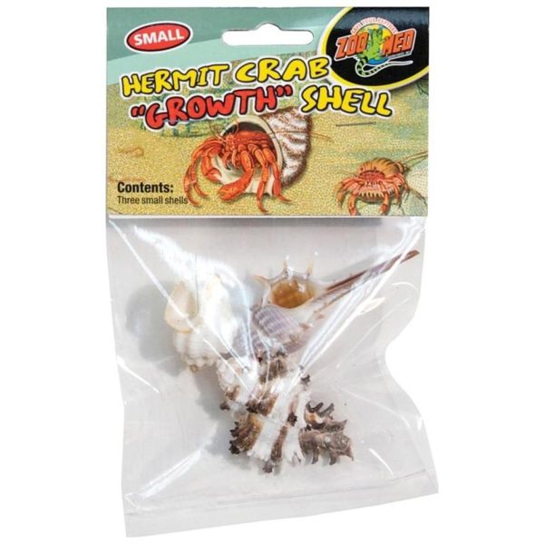 HERMIT CRAB GROWTH SHELL Online