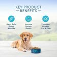 Blue Buffalo Life Protection Natural Chicken & Brown Rice Recipe Adult Dry Dog Food Online Hot Sale