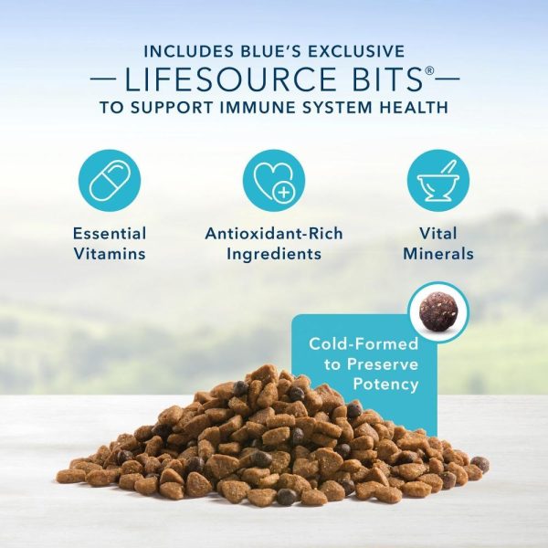 Blue Buffalo Life Protection Natural Chicken & Brown Rice Recipe Puppy Dry Dog Food Online Hot Sale