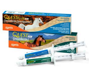 Zoetis Quest Horse Dewormer Gel For Discount